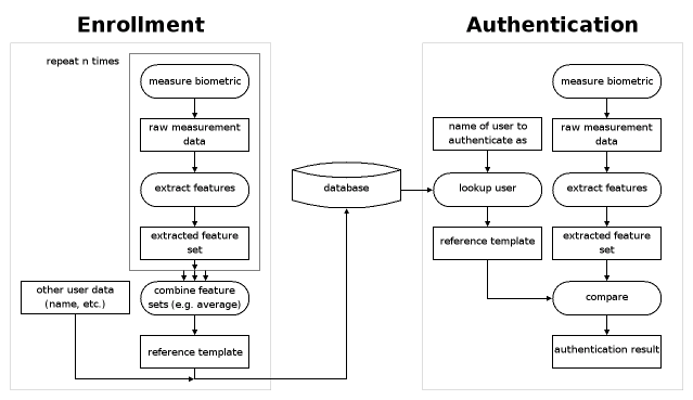 Typical biometric data flow for enrollment and authentication.